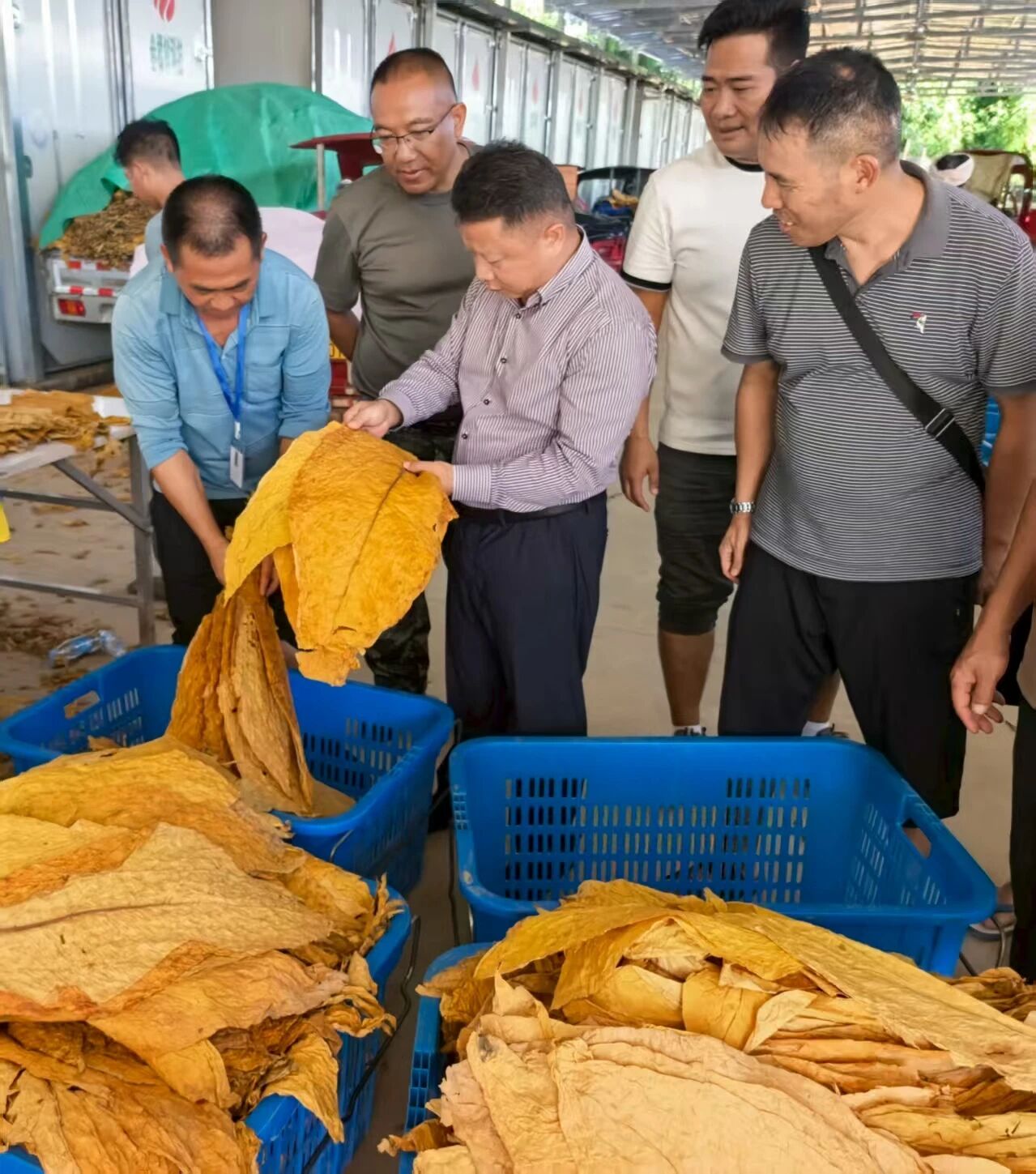 胡兴才调研产业发展时强调：建立联农带农利益联结机制，答好乡村产业富民之问