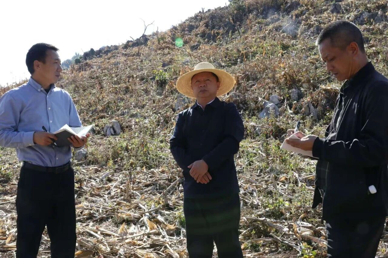 胡兴才实地督导森林草原防灭火工作并开展巡林