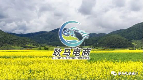 图片5