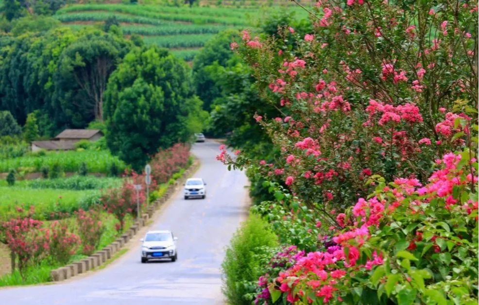 耿马：505公里绿美公路一路生花一路景